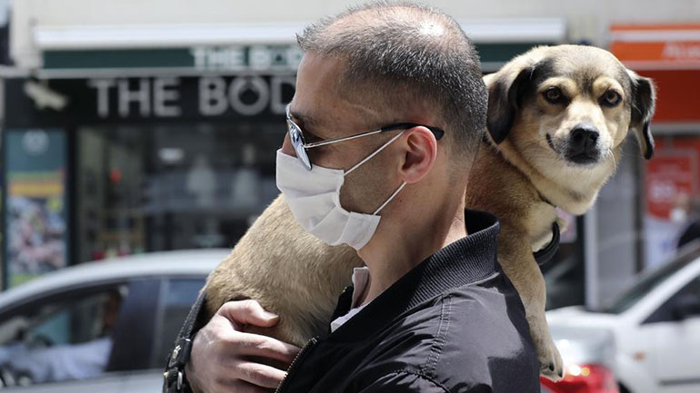 Η «βρετανική» παραλλαγή του κορωνοϊού βρέθηκε για πρώτη φορά σε σκύλους και γάτες σε Ευρώπη και ΗΠΑ